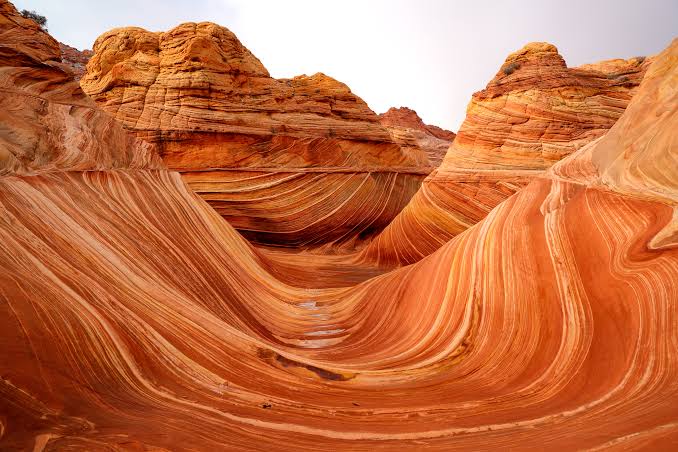 The Red Rocks