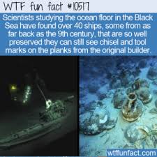 Wtf Fun Fact Black Sea Shipwrecks In 2020 Wtf Fun Facts Fun Facts Weird Facts