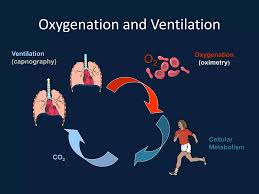 Image result for End-Tidal O2