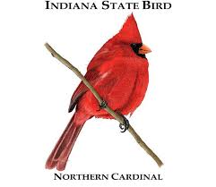 The Official Bird Of The State Of Indiana Is Represented In This Design Species Included Northern Cardin State Birds North American Animals Wildlife Artists