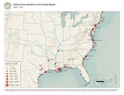 Image result for Yellow Fever