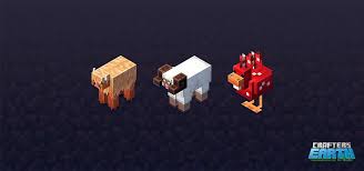 Dec 11, 2013 · when using this texture pack, i recommend optifine for better results! How To Collect Different Mobs Minecraft Earth Wiki Guide Ign