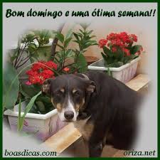 Resultado de imagem para Linda mensagem de domingo