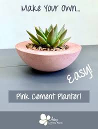 Order succulent plants, cuttings, seeds and more. Pin On Crafty Ideas And Tutorials