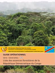 Image result for Leptonychia tokana