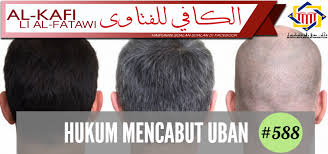Nah, bagi anda yang berniat untuk memotong rambut di hari yang baik menurut versi anda. Pejabat Mufti Wilayah Persekutuan Al Kafi 588 Hukum Mencabut Uban