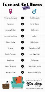 Struggling To Find A Name For A Newly Adopted Kitten Or Just Looking For A Laugh Well Most Of Regular Cat Names Can Be Q Funny Cat Names Cat Names Funny