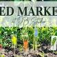 Seed Markers | Fused Glass db Studio