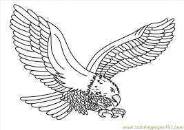 Realistic coloring pages for adults. Patriotic Coloring Page For Kids Free Eagle Printable Coloring Pages Online For Kids Coloringpages101 Com Coloring Pages For Kids
