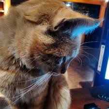 Freeq Lemmas Txt At Master Enaunimes Freeq Github