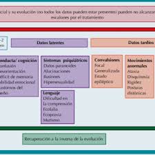 Causas, factores de riesgo y síntomas. Pdf Encefalitis Autoinmune En Pediatria