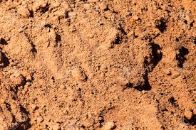 The particles of clay are sticky in nature to one another. Red Clay Soil On Nature As A Background Stock Photo Picture And Royalty Free Image Image 94530057
