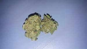 Expert seeds pulled out all the stops with gorilla cookies. Sour Cookies Weed Strain Information Leafly