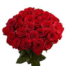 Frim specialize in high quality artificial flowers and holiday decorations. Amazon Com Roses 50 Red Long Stems Flowers Next Day Delivery Grocery Gourmet Food