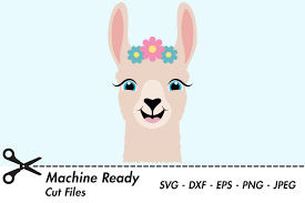 Download Cute Llama Svg Cut Files Happy Farm Animal Llama Face 376786 Svgs Design Bundles