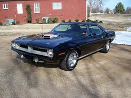 Image result for Black Velvet 1970 Barracuda