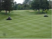 Image result for what is the first cut on a golf course