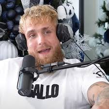 Jake and Logan Paul confirm new reality show 'Paul American' featuring  behind the scenes of Mike Tyson fight