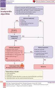 Check spelling or type a new query. Complete Heart Block In A Pregnant Patient Chapter 32 Obstetric Decision Making And Simulation