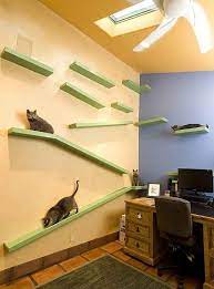 A California Man Has Created A Cat S Dream Home Koshachya Komnata Koshachi Bashni Samodelnye Igrushki Dlya Koshki