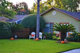 Home garden artficial grass with pe+pp straight & curly garden decoration roof artificial grass. Lawn 1080p 2k 4k 5k Hd Wallpapers Free Download Wallpaper Flare