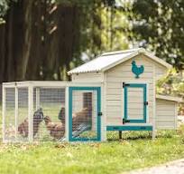Dannell 74'' Wooden Chicken Coop - Designer Review & Photos