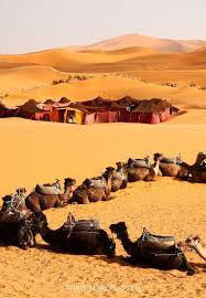 صور المغرب أجمل صور المغرب ألبوم صور المغرب منتديات المغرب Desert Life Morocco Places To Travel