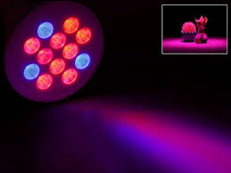 Check spelling or type a new query. Led Vs Fluorescent Grow Lights