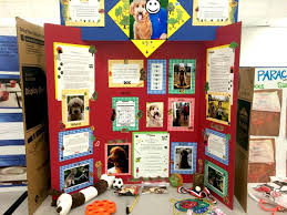 Templates for four boards with great ideas for elementary science displays and projects for classroom teachers. 75 Science Fair Project Ideas