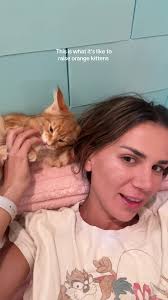 Raising Playful Orange Maine Coon Kittens