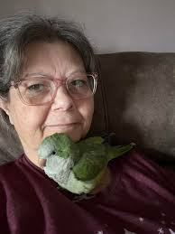 Do birds get cranky when it rains?