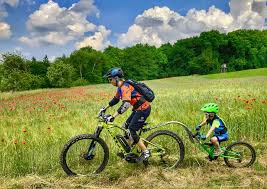 Streamliner Von Tout Terrain Testbericht Der Beste Fahrrad Nachlaufer Fur Mountainbiker