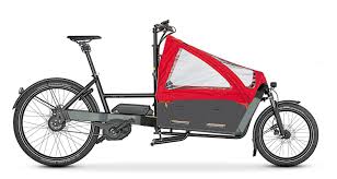 Riese And Muller Packster 60 80 G O Family Cyclery Seattle Electric Bike Shop Electric Cargo Bike Cargo Bike Bike