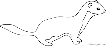 Moms and crafters adult coloring. Weasel Coloring Pages Coloringall