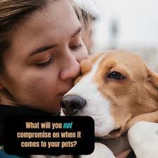 Susan Rine's Instagram, Twitter & Facebook