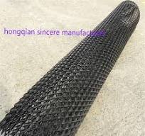 Two Dimension Bi-Planar Geocomposite HDPE Biplanar Drainage Geonet