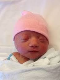 Rolling Acres Farm: Hunter/Jumper Horse Boarding, Sales and Training in  Montgomery County, Maryland: Capital Challenge Horse Show Results AND a New  Baby!!