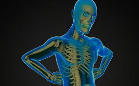 Amyotrophic lateral sclerosis is a neurodegenerative neuromuscular disease that results in the progressive loss of motor neurons that control voluntary muscles. Esclerosis Lateral Amiotrofica Alto Costo Economico Y Social
