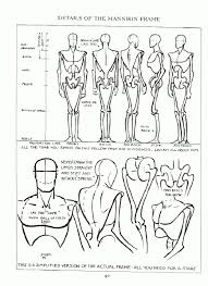 Andrew Loomis Figure Drawing For All Its Worth Figure Drawing Figure Drawing Tutorial Figure Drawing Reference