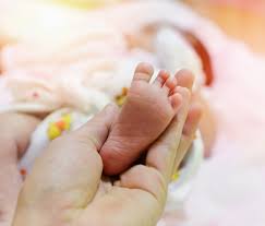 ç»åæ¤ç´¢çµæ