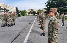 Metodologie admitere curs 2020 filiera indirecta. Ceremonia De Depunere A JurÄmantului Militar OfiÈeri Filiera IndirectÄ