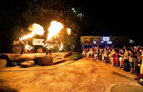 Book dubai desert safari with bbq dinner on yatra.com and experience the world's first nocturnal zoo. Singapore Night Safari In Singapore