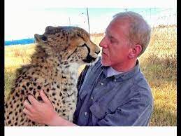 Watch series one and series two on the. Man Reunites With African Cheetah Cat After 1 Year Absence Do You Remember Me A Documentary Big Cats Animals Friendship Cute Animals