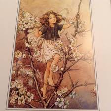 Katherine Loder is fundraising for Little Princess Trust