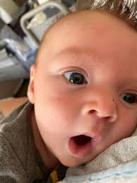 I think a pelican may have written this