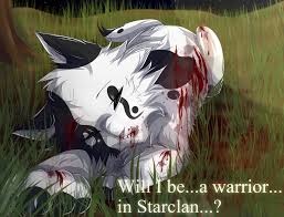30 Day Warriors Challenge Day 6 By Andromeda38 On Deviantart Aspen continues to struggle with her powers in the jungle. 30 day warriors challenge day 6 by