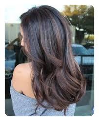 Fall ready this dark auburn is perfect for fall, especially when you. 90 Highlights For Black Hair That Looks Good On Anyone Style Easily
