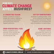 How Does Climate Change Affect Bushfires? | Infographic | Climate Council