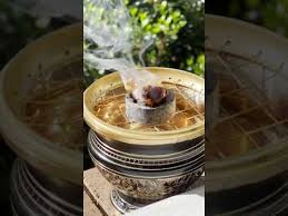 Image result for Commiphora kua