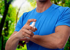 14 Homemade Insect Repellent Recipes That Actually Work Gudgear